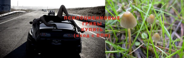 бошки Алексеевка