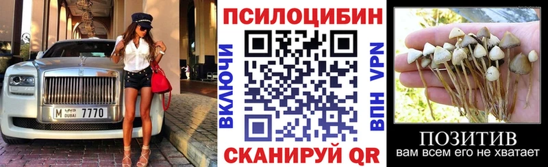 Псилоцибиновые грибы MAGIC MUSHROOMS  ссылка на мегу сайт  Апрелевка 